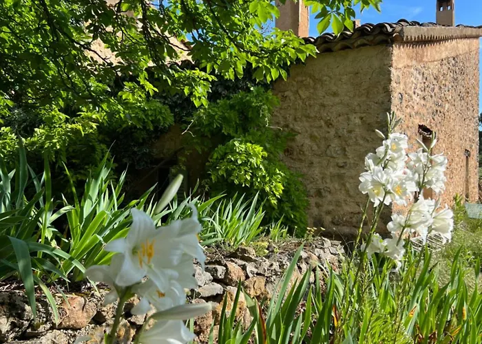 Charmant Appartement Independant Au Sein D\'Un Mas Provencal