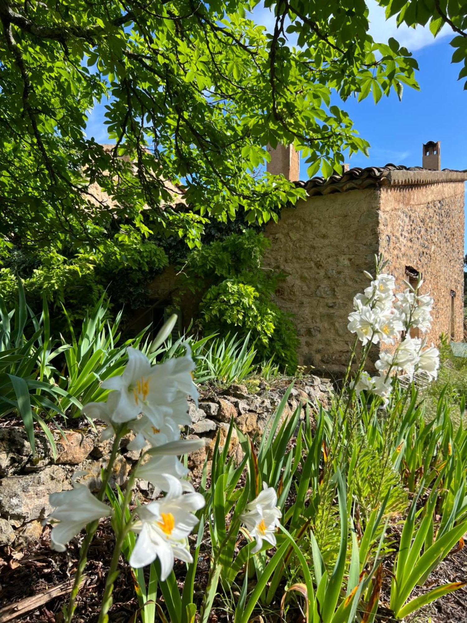 Independant Au Sein D'un Mas Provencal * Aups